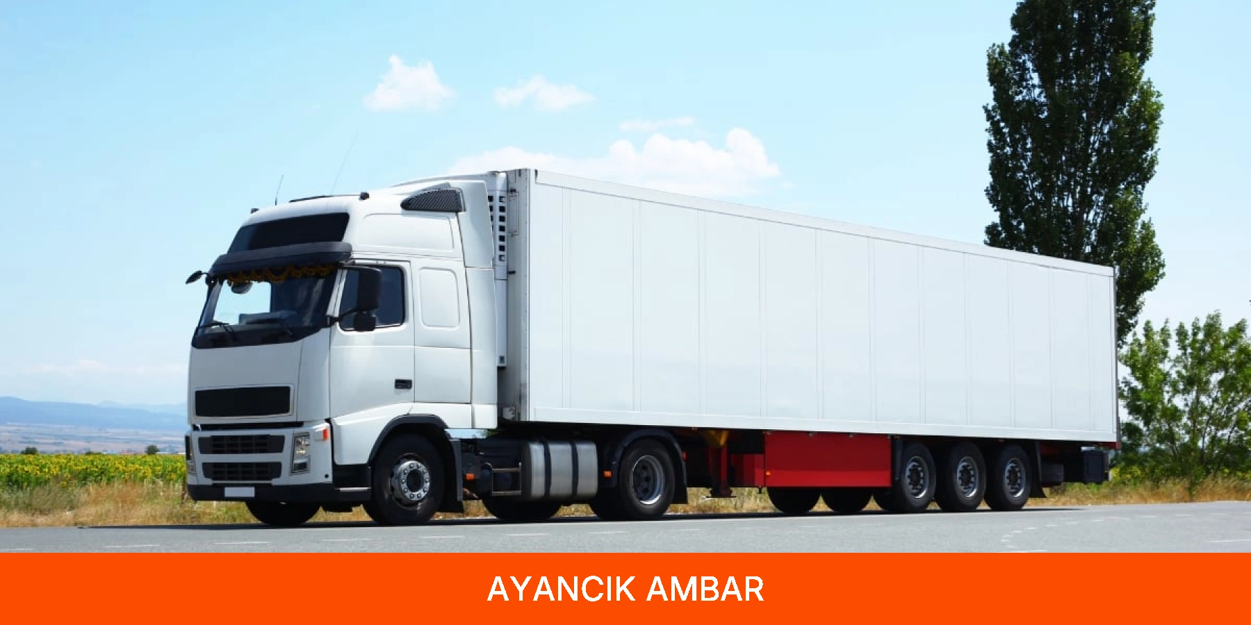 Ayancık Ambar