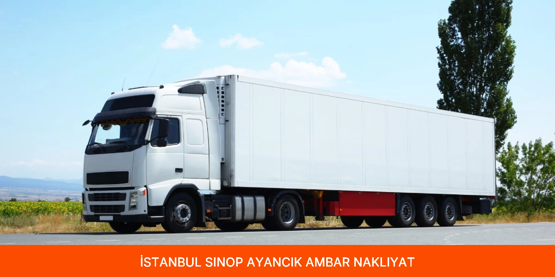Ayancık Ambar